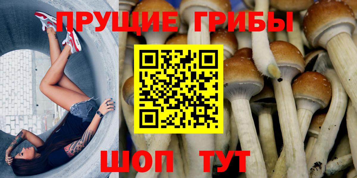 Псилоцибиновые грибы GOLDEN TEACHER Петропавловск-Камчатский